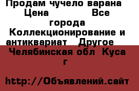 Продам чучело варана › Цена ­ 15 000 - Все города Коллекционирование и антиквариат » Другое   . Челябинская обл.,Куса г.